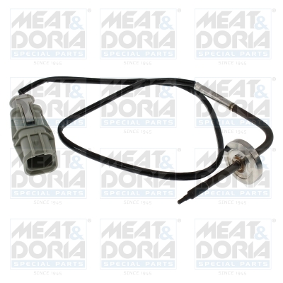 Sensor uitlaatgastemperatuur Meat Doria 12714