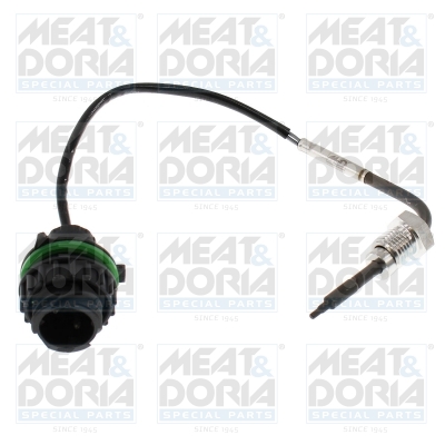 Sensor uitlaatgastemperatuur Meat Doria 12726