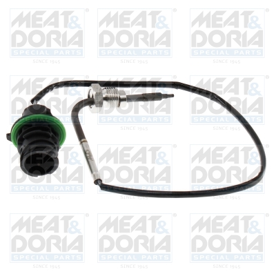 Sensor uitlaatgastemperatuur Meat Doria 12729