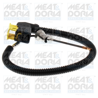 Sensor uitlaatgastemperatuur Meat Doria 12735