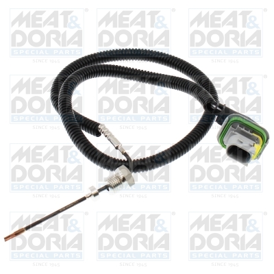 Sensor uitlaatgastemperatuur Meat Doria 12736