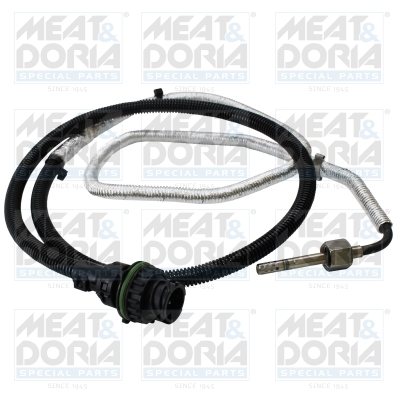 Sensor uitlaatgastemperatuur Meat Doria 12738