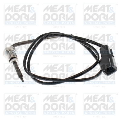 Sensor uitlaatgastemperatuur Meat Doria 12745