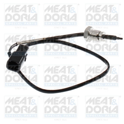 Sensor uitlaatgastemperatuur Meat Doria 12746