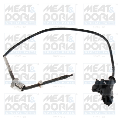 Sensor uitlaatgastemperatuur Meat Doria 12750