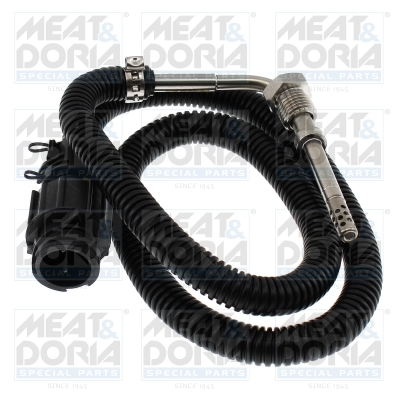 Sensor uitlaatgastemperatuur Meat Doria 12755