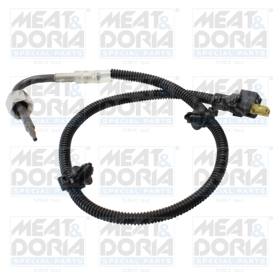 Sensor uitlaatgastemperatuur Meat Doria 12758