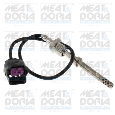 Sensor uitlaatgastemperatuur Meat Doria 12763