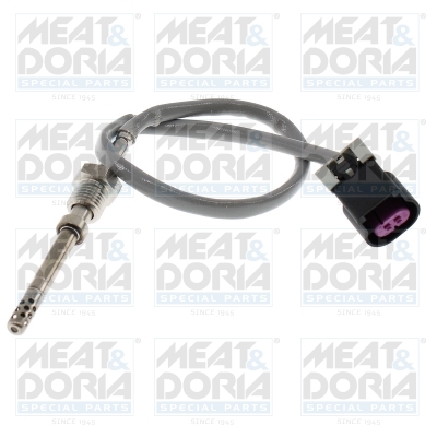 Sensor uitlaatgastemperatuur Meat Doria 12764