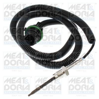 Sensor uitlaatgastemperatuur Meat Doria 12765