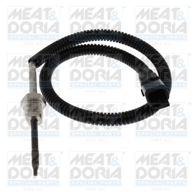 Sensor uitlaatgastemperatuur Meat Doria 12766