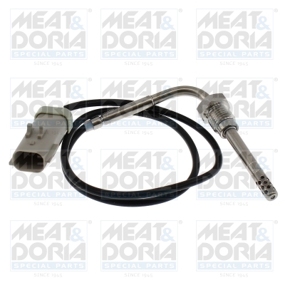 Sensor uitlaatgastemperatuur Meat Doria 12771