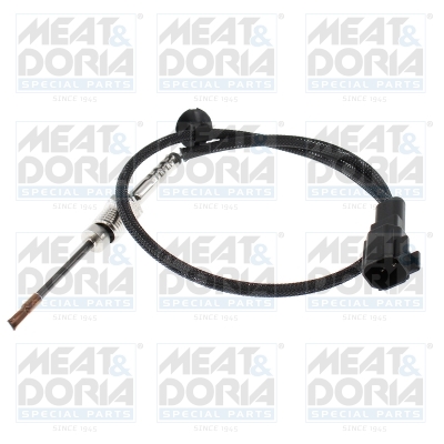 Sensor uitlaatgastemperatuur Meat Doria 12777