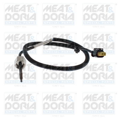 Sensor uitlaatgastemperatuur Meat Doria 12796