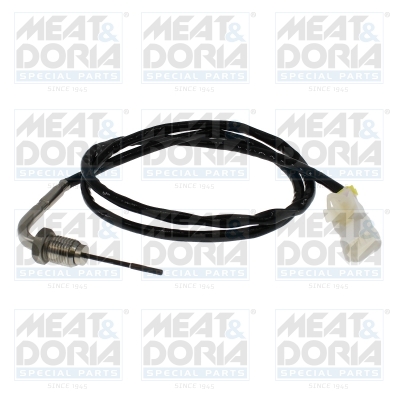 Sensor uitlaatgastemperatuur Meat Doria 12799