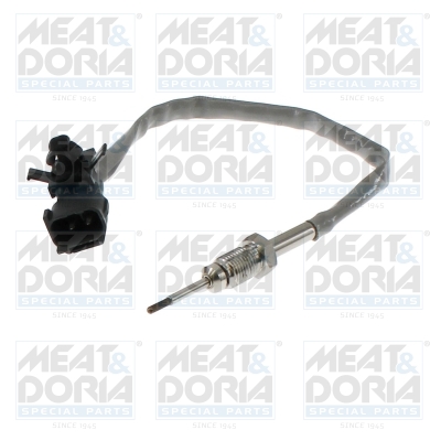 Sensor uitlaatgastemperatuur Meat Doria 12806