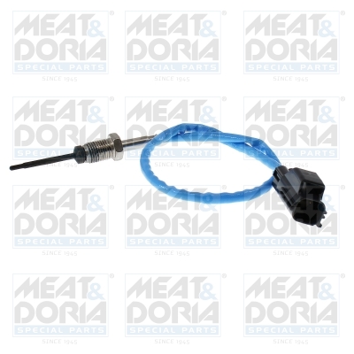 Sensor uitlaatgastemperatuur Meat Doria 12811