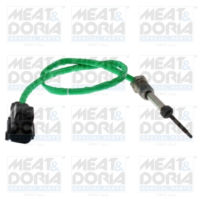 Sensor uitlaatgastemperatuur Meat Doria 12813