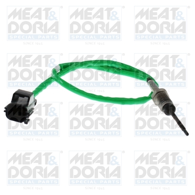 Sensor uitlaatgastemperatuur Meat Doria 12817