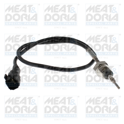 Sensor uitlaatgastemperatuur Meat Doria 12819