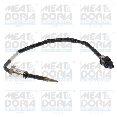 Sensor uitlaatgastemperatuur Meat Doria 12828