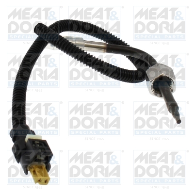 Sensor uitlaatgastemperatuur Meat Doria 12831