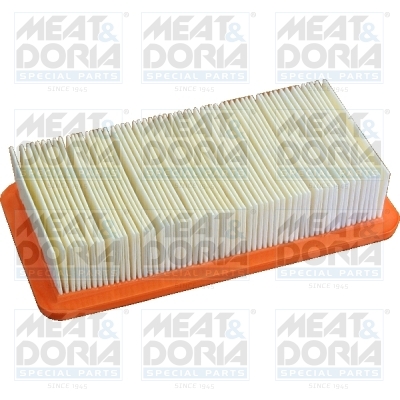Luchtfilter Meat Doria 18383