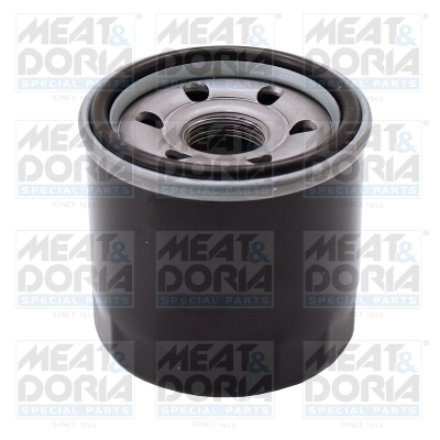 Filter/oliezeef automaatbak Meat Doria 21170