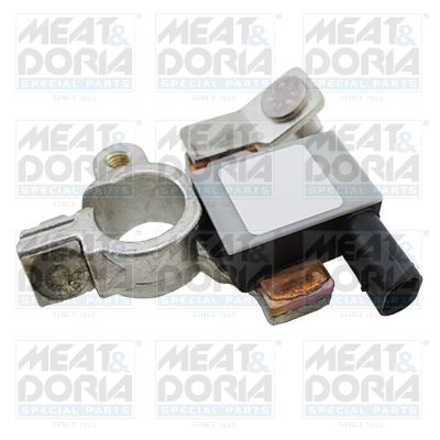 Accumanagement sensor Meat Doria 241002