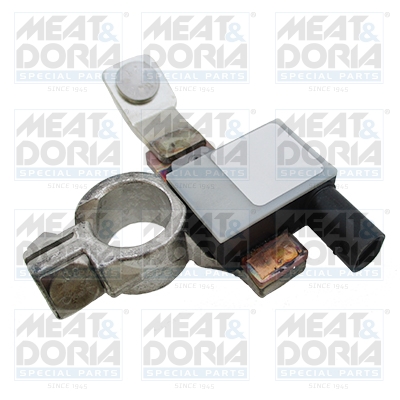 Accumanagement sensor Meat Doria 241004