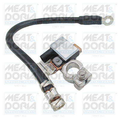 Accumanagement sensor Meat Doria 241010