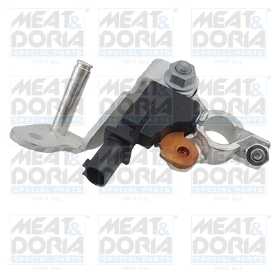 Accumanagement sensor Meat Doria 241014