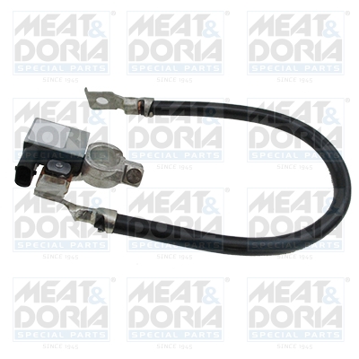 Accumanagement sensor Meat Doria 241019