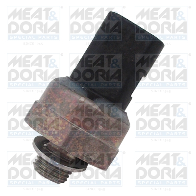 Olietemperatuursensor Meat Doria 823052