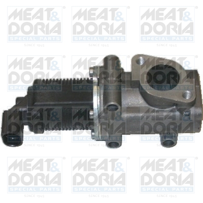 EGR-klep Meat Doria 88007B