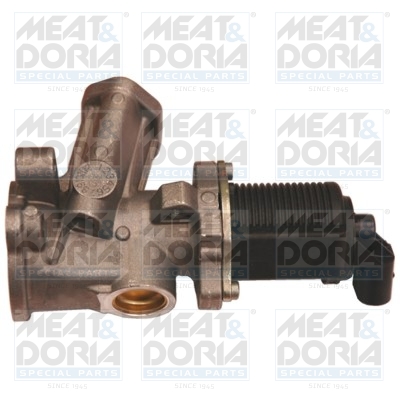 EGR-klep Meat Doria 88043R