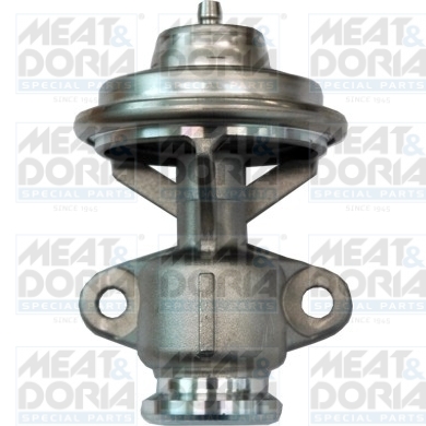 EGR-klep Meat Doria 88158