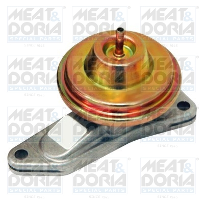 EGR-klep Meat Doria 88164