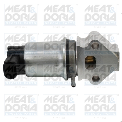 EGR-klep Meat Doria 88176