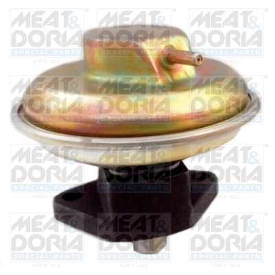 EGR-klep Meat Doria 88404