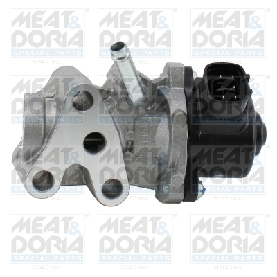 EGR-klep Meat Doria 88863R