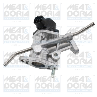 EGR-klep Meat Doria 88909