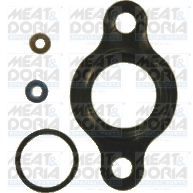 Reparatieset, common-rail-systeem Meat Doria 9158