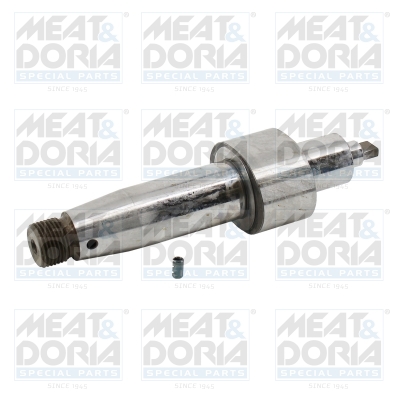 Reparatieset, common-rail-systeem Meat Doria 98281
