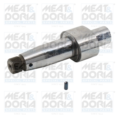 Reparatieset, common-rail-systeem Meat Doria 98284