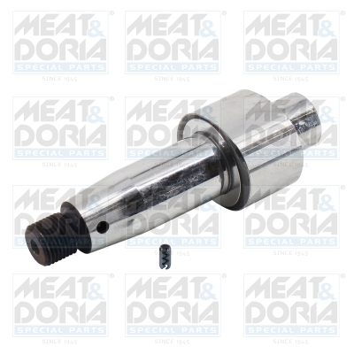 Reparatieset, common-rail-systeem Meat Doria 98285