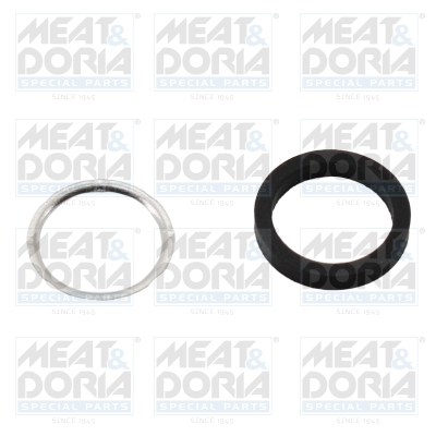 Reparatieset, common-rail-systeem Meat Doria 98331