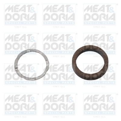 Reparatieset, common-rail-systeem Meat Doria 98332