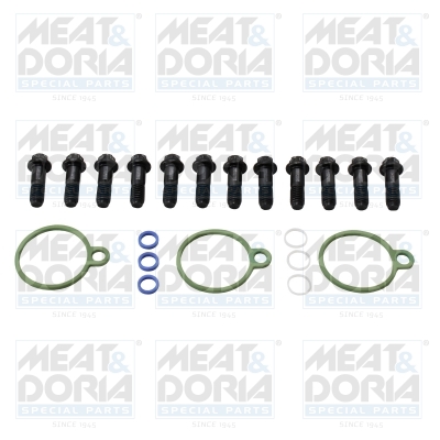Reparatieset, common-rail-systeem Meat Doria 98380