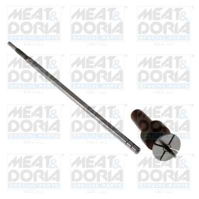 Reparatieset, common-rail-systeem Meat Doria 98620